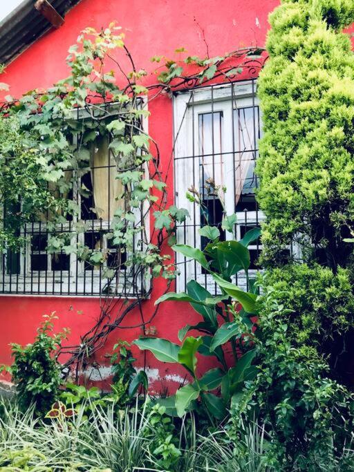 شقة Casa I'X سان خوان لاجونا المظهر الخارجي الصورة